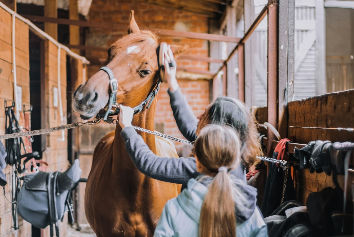 Qui veille sur la santé des chevaux ? Dans les coulisses de la recherche équine