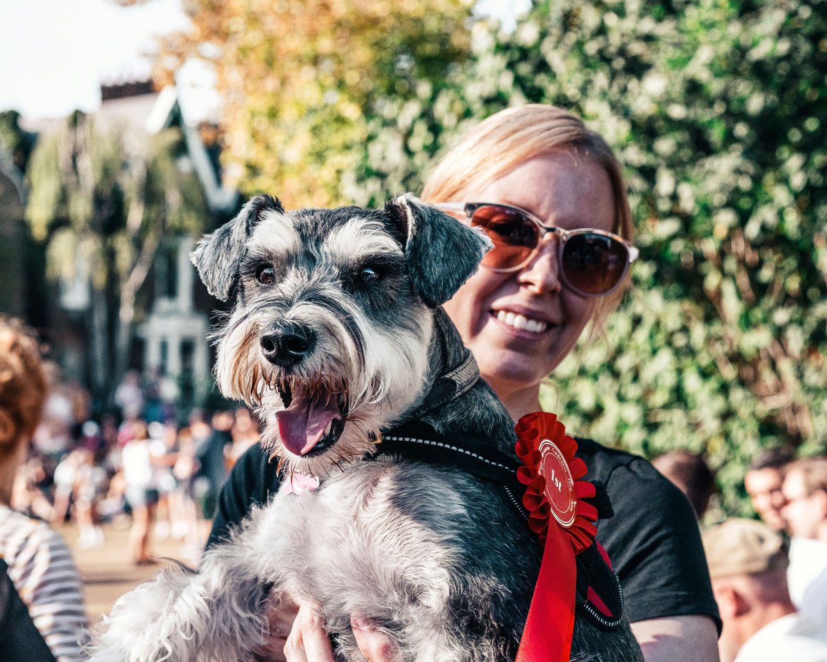 SCC : dans les coulisses de la gardienne des races de chiens « C’est un chien LOF ?