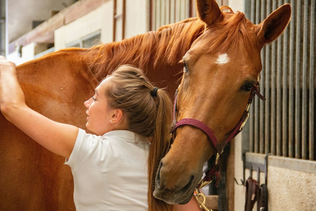 Qui veille sur la santé des chevaux ? Dans les coulisses de la recherche équine