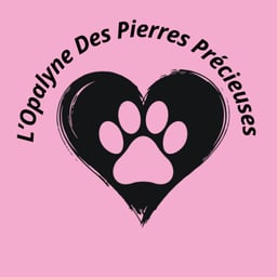 L'opalyne des pierres precieuses