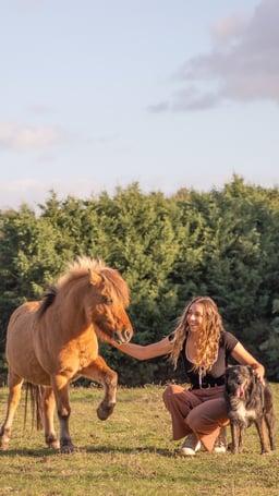 AB Comportementaliste