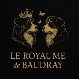 Le royaume de baudray 