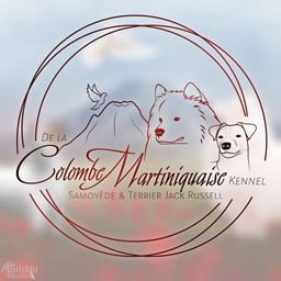 kennel de la colombe martiniquaise 