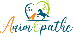 AnimOpathe