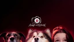 La Patte sur l'Objectif 