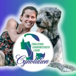 Cynolution