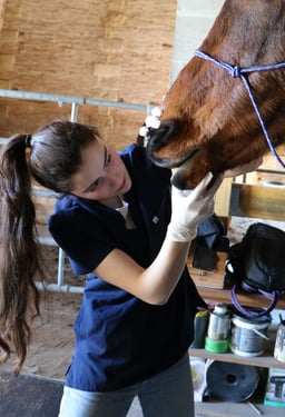 Elsa Beauvieux Technicien dentaire équin 