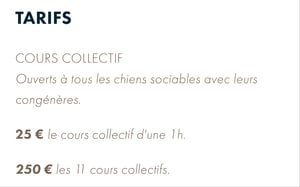 Cours collectif d’education canine