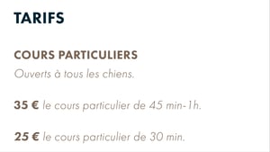 Cours particuliers Agility