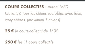 Cours collectif Agility