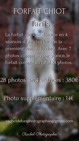 Forfait chiot