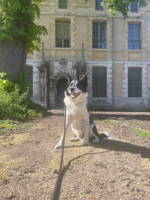 Garderie à la journée 