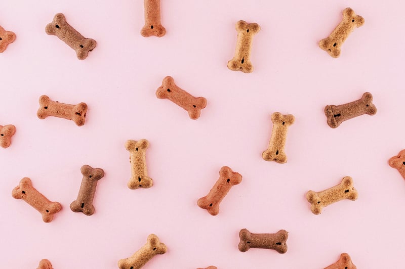 Les friandises du chien : bien les choisir, bien les doser