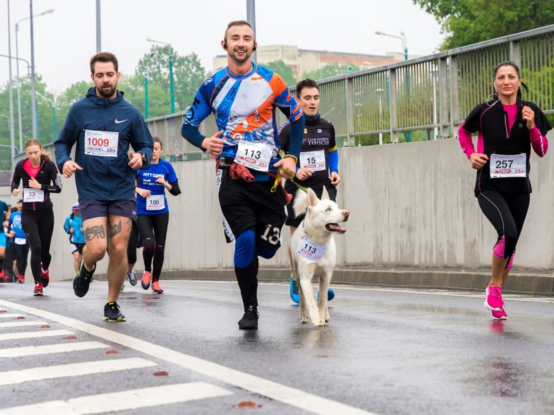 Canicross et sports de traction : le guide pour débuter avec son chien