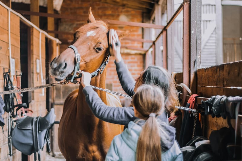 Qui veille sur la santé des chevaux ? Dans les coulisses de la recherche équine