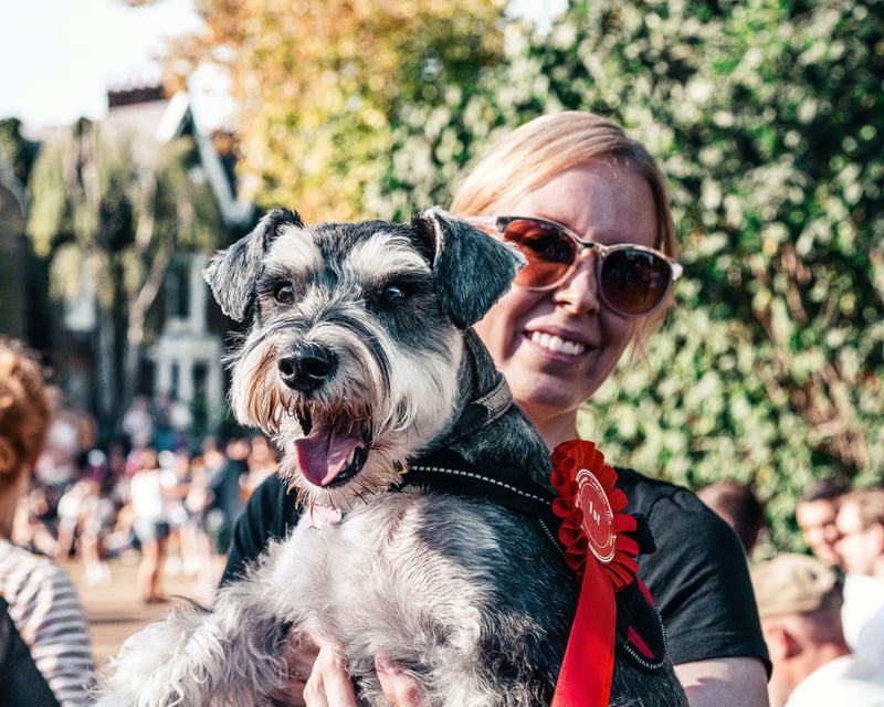 SCC : dans les coulisses de la gardienne des races de chiens « C’est un chien LOF ?