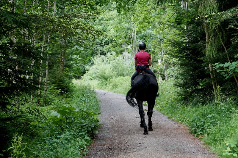 Randonnée équestre : le sport à partager avec son cheval