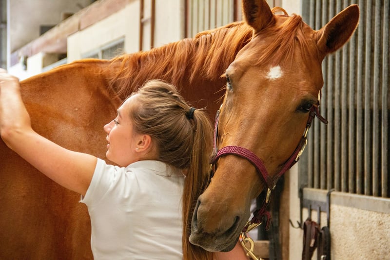 Qui veille sur la santé des chevaux ? Dans les coulisses de la recherche équine