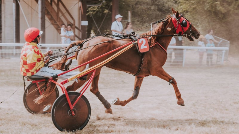 Le Trot : dans les coulisses des courses qui font battre le cœur de Vincennes