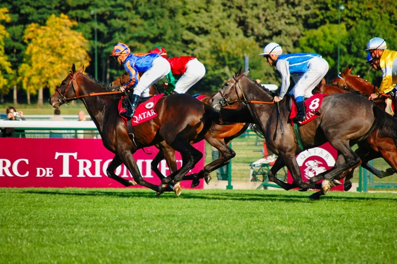 France Galop : dans les coulisses des courses qui font rêver la France